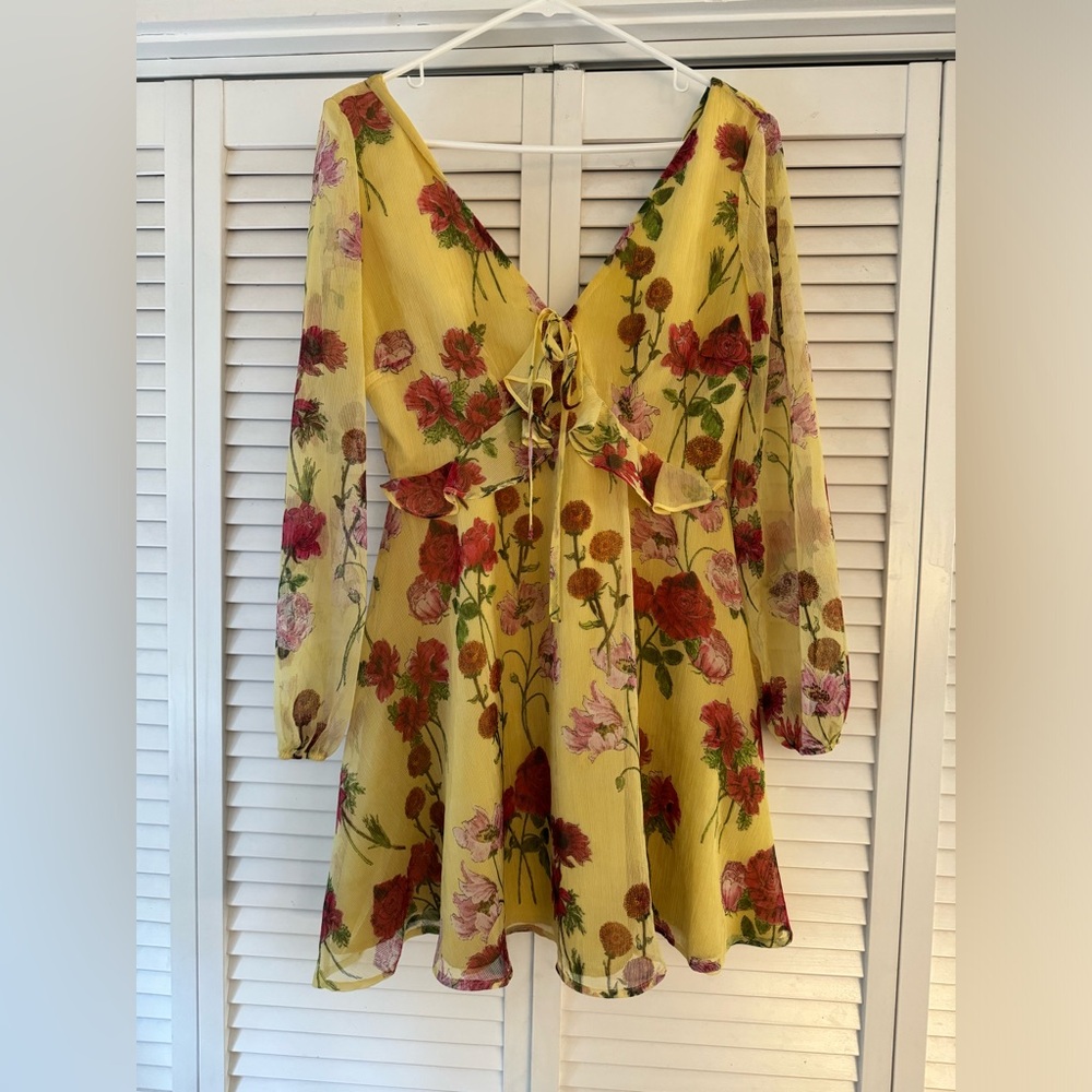 BB Dakota size 8 dress